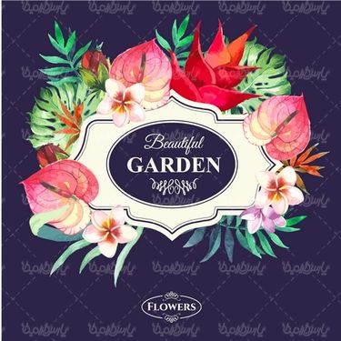 Flower Frame Vector