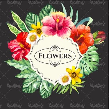 Flower Frame Vector
