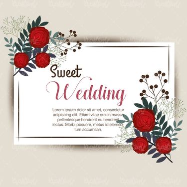 Flower Frame Vector