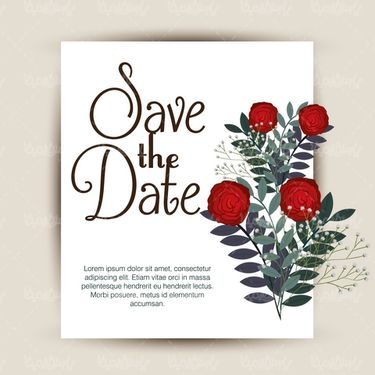 Flower Frame Vector