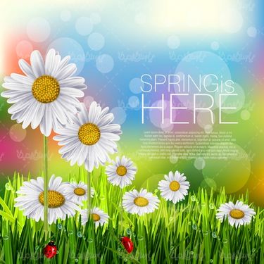 Spring Flower Vector