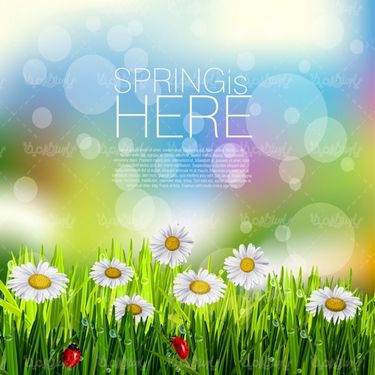 Spring Flower Vector