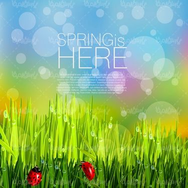 Spring Flower Vector