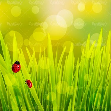 Spring Flower Vector
