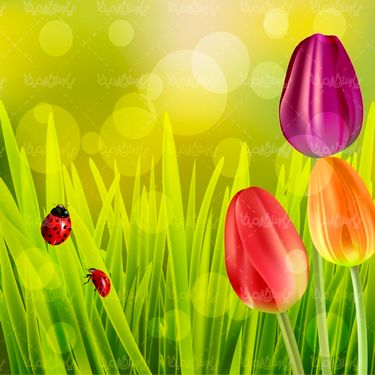 Spring Flower Vector