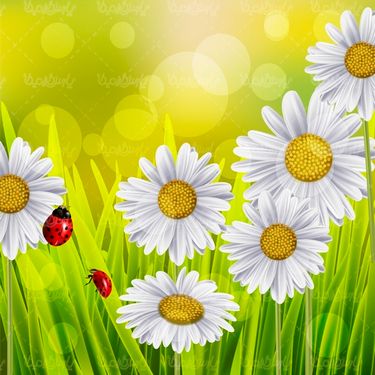 Spring Flower Vector