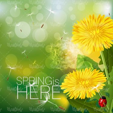 Vector Spring