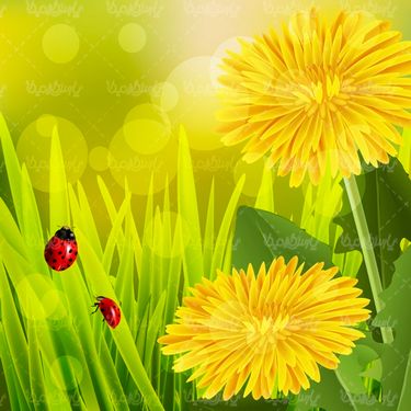 Vector Spring