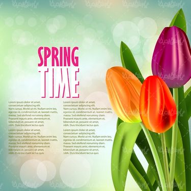 Vector Spring