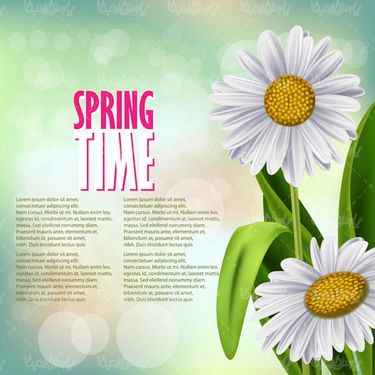 Vector Spring