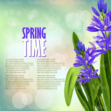 Vector Spring