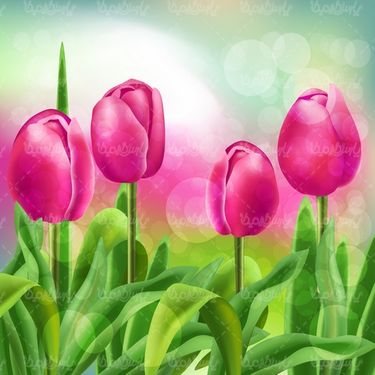 وکتور گل زیبا