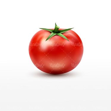 وکتور گوجه فرنگی