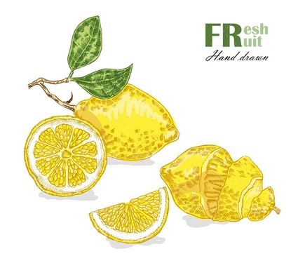وکتور لیمو شیرین