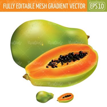 Fruit vector