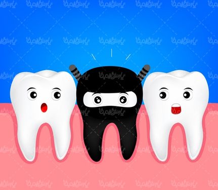 Dental vector