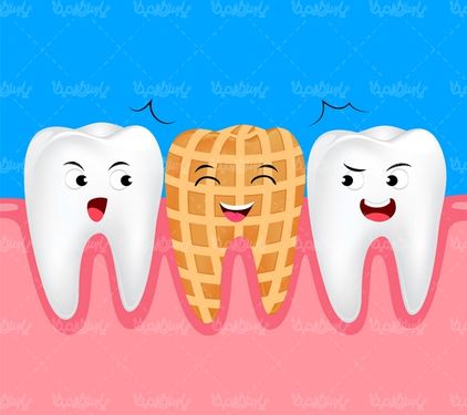 Dental vector
