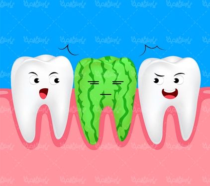 Dental vector