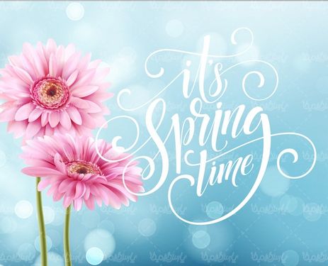 Spring Flower Vector