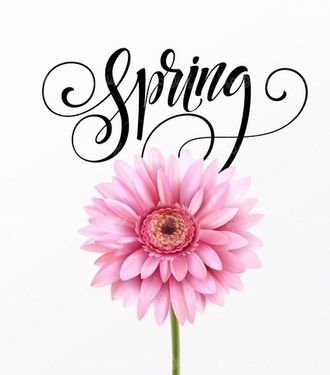 Spring Flower Vector