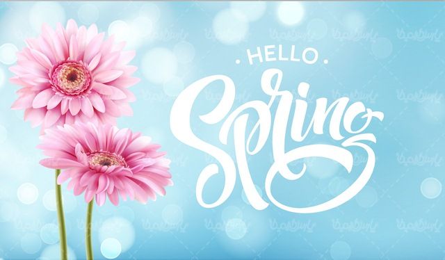Spring Flower Vector