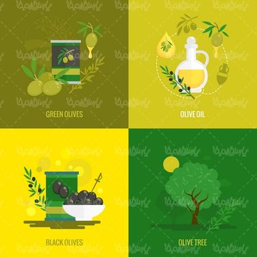 Olive Vector
