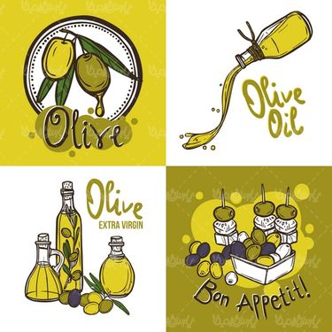 Olive Vector
