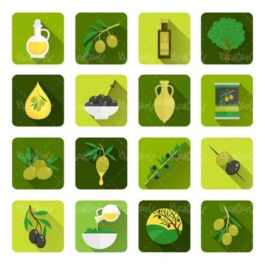 Olive Vector