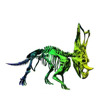 Dinosaur Vector