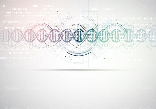 Vector medical background