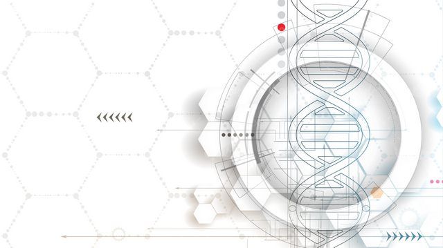 Vector medical background