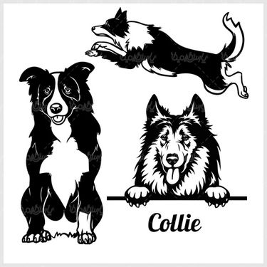 Vector black dog pen