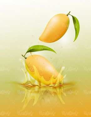 وکتور انبه