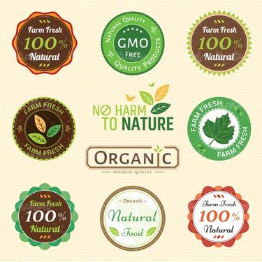 Vector Organic Logo