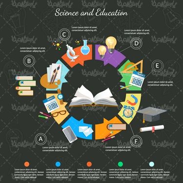 Vector Infographic Training