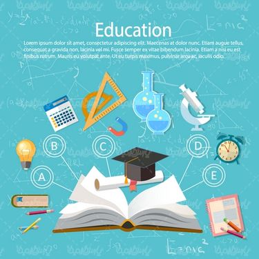 Vector Infographic Training