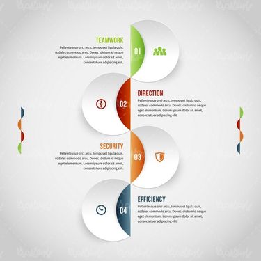 Infographic vector