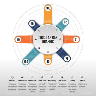 Infographic vector