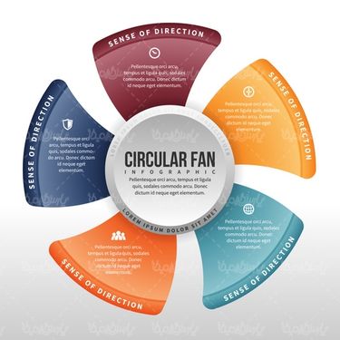 Infographic vector