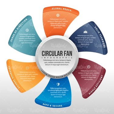 Infographic vector