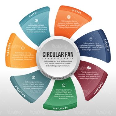 Infographic vector