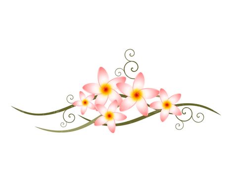 وکتور حاشیه گل