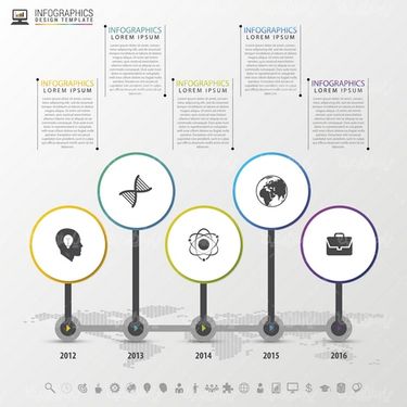Infographic vector