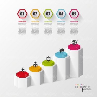 Infographic vector