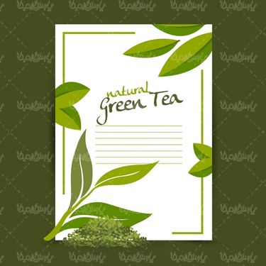 Green Tea Vector