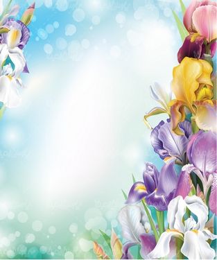 Vector flower background
