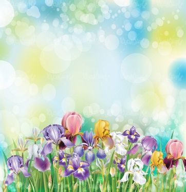 Vector flower background