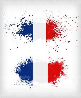 Flag vector