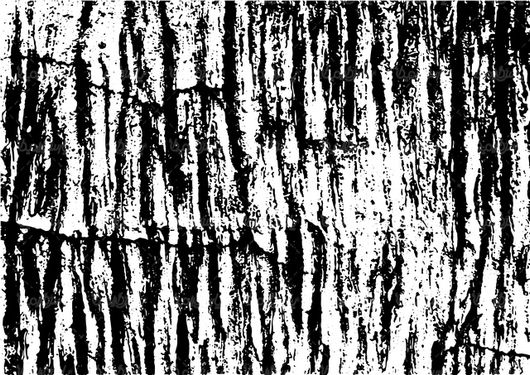 Vector textures