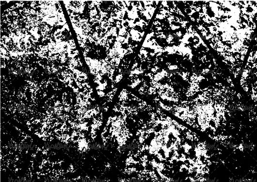 Vector textures
